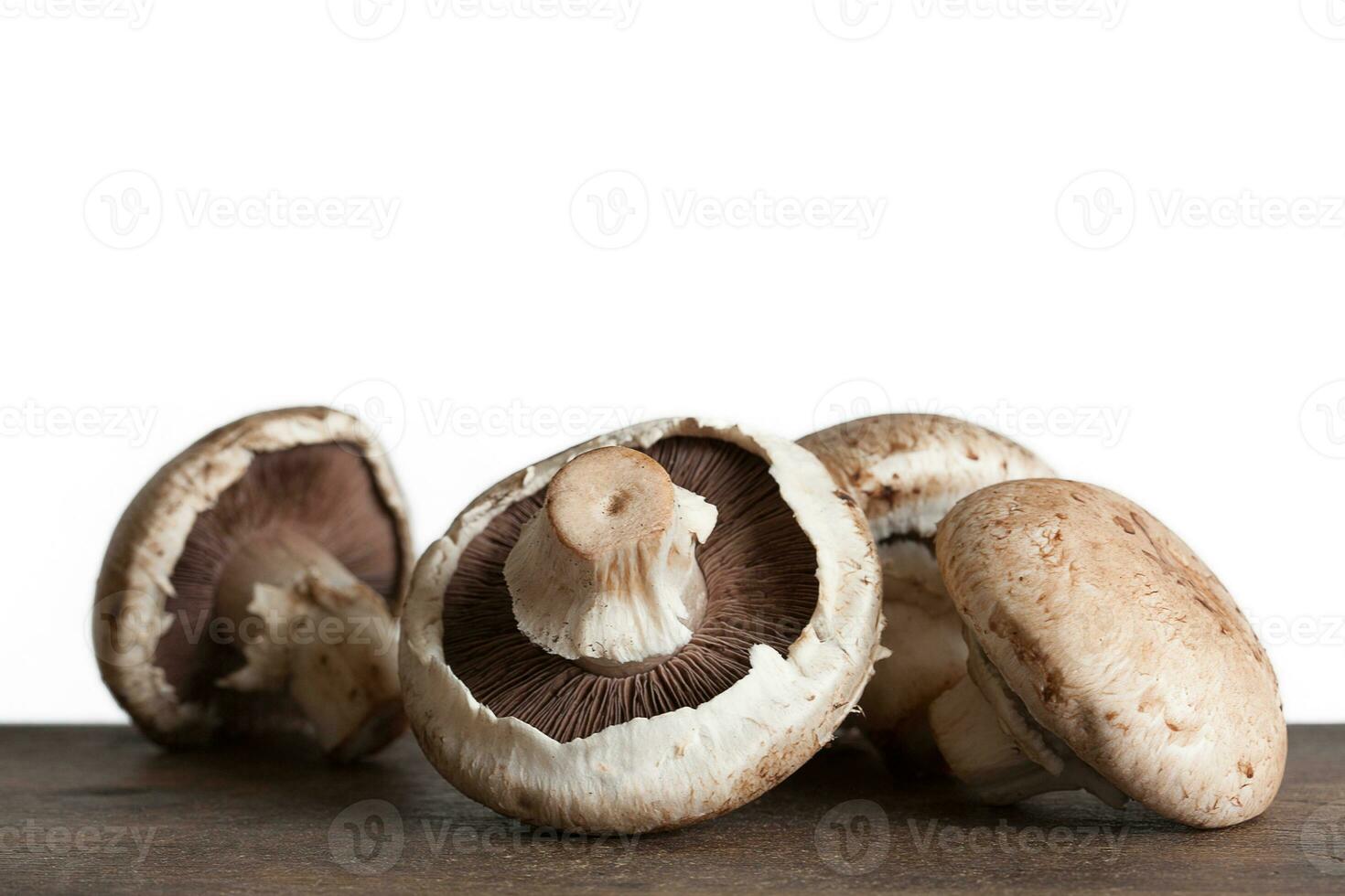 appena raccolto fungo su bianca sfondo. agaricus bisporus foto