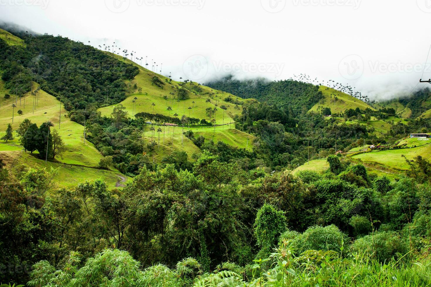 Visualizza di il bellissimo nube foresta e il quindio cera palme a il cocco valle collocato nel salento nel il quindio regione nel Colombia. foto