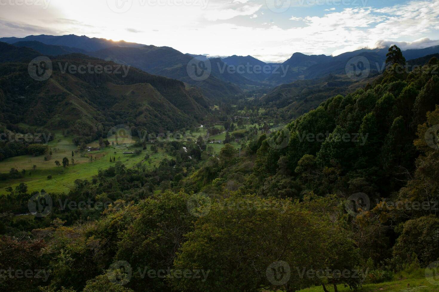 bellissimo Visualizza al di sopra di il cocco valle nel salentino, a partire dal EL mirador, collocato su il regione di quindio nel Colombia foto