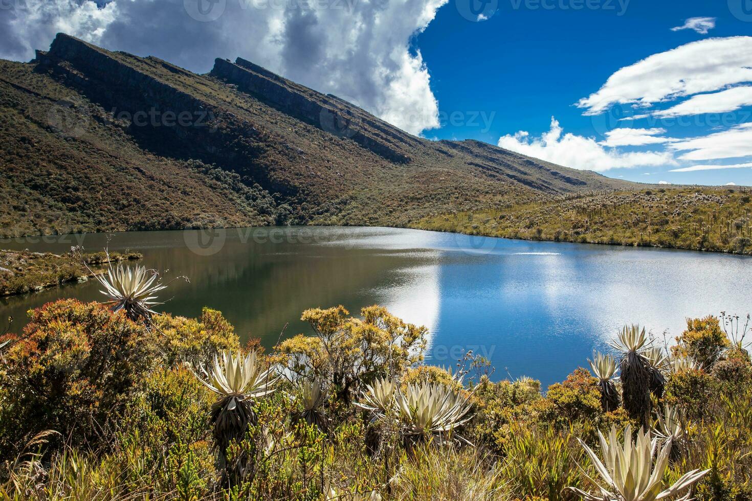 bellissimo paesaggio di colombiano andino montagne mostrando paramo genere vegetazione nel il Dipartimento di cundinamarca foto