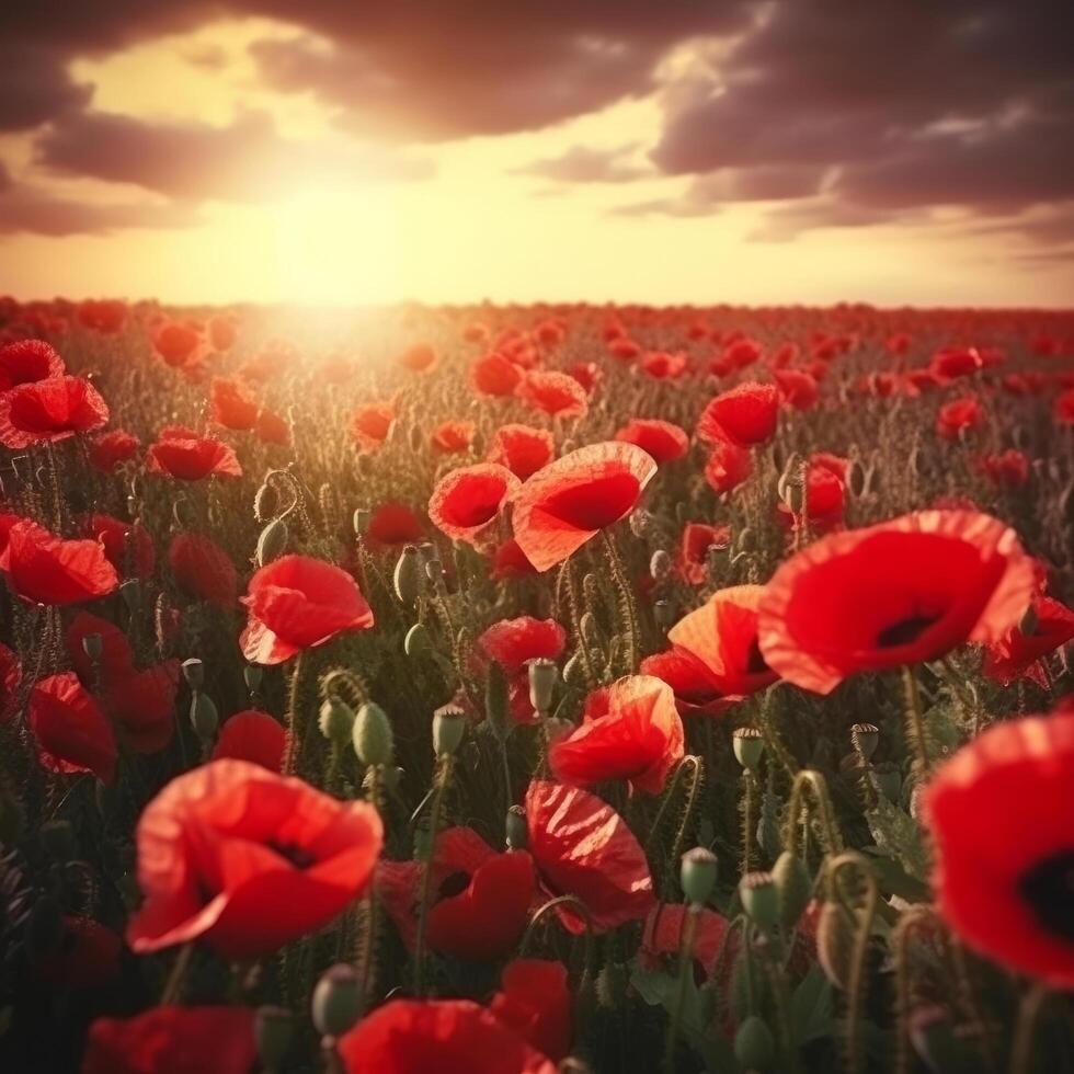 papavero fiore sfondo per anzac giorno. illustrazione ai generativo foto