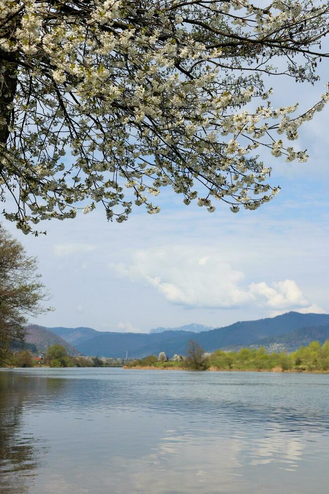 panorami a il batca doamnei lago nel Piatra neamt foto