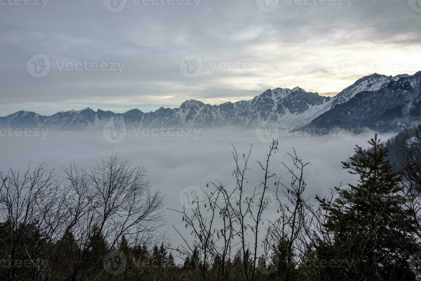 2023 02 18 campogrosso nebbioso paesaggio 1 foto