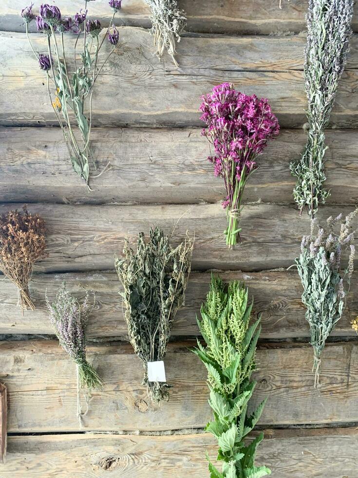 secco medicinale fiori e erbe aromatiche su di legno sfondo. studio foto