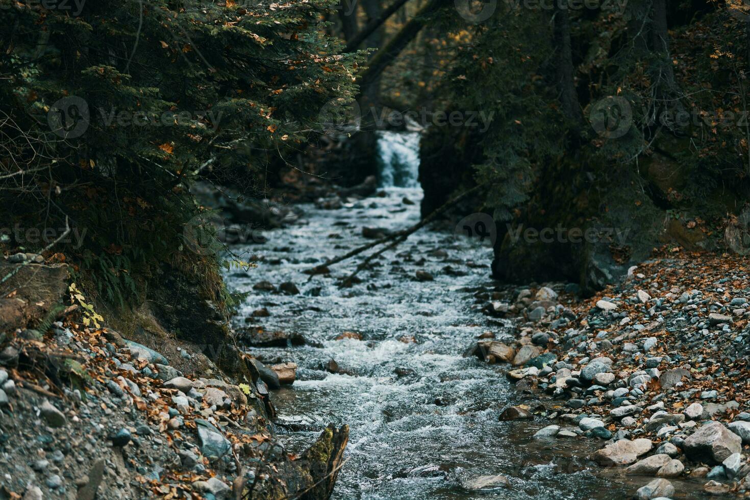 fiume flussi fra il banche nel il foresta e viaggio modello turismo foto