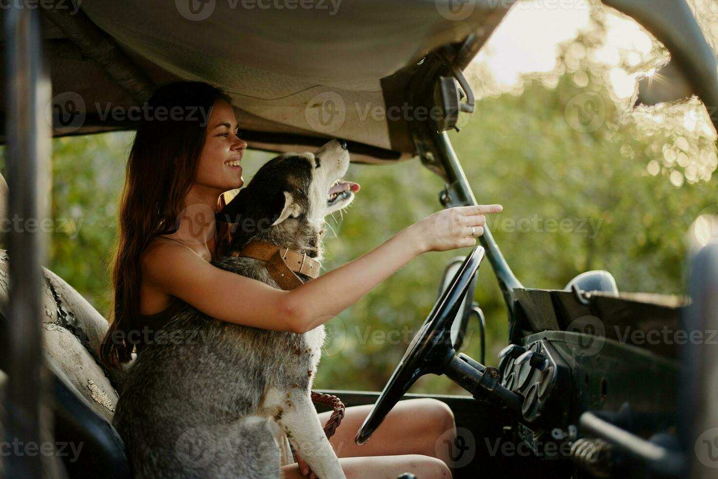 un' bellissimo giovane donna si siede dietro a il ruota di sua auto insieme con un' rauco razza cane e sorrisi allegramente gode il viaggio foto