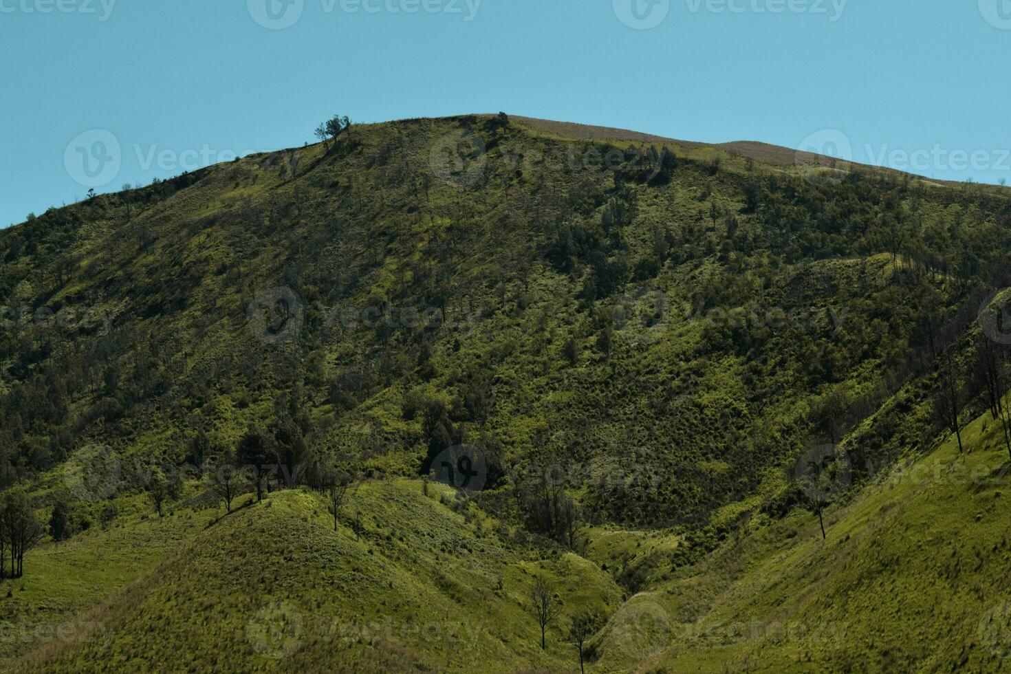 panoramico verde erba campo Visualizza di rotolamento campagna verde azienda agricola i campi foto