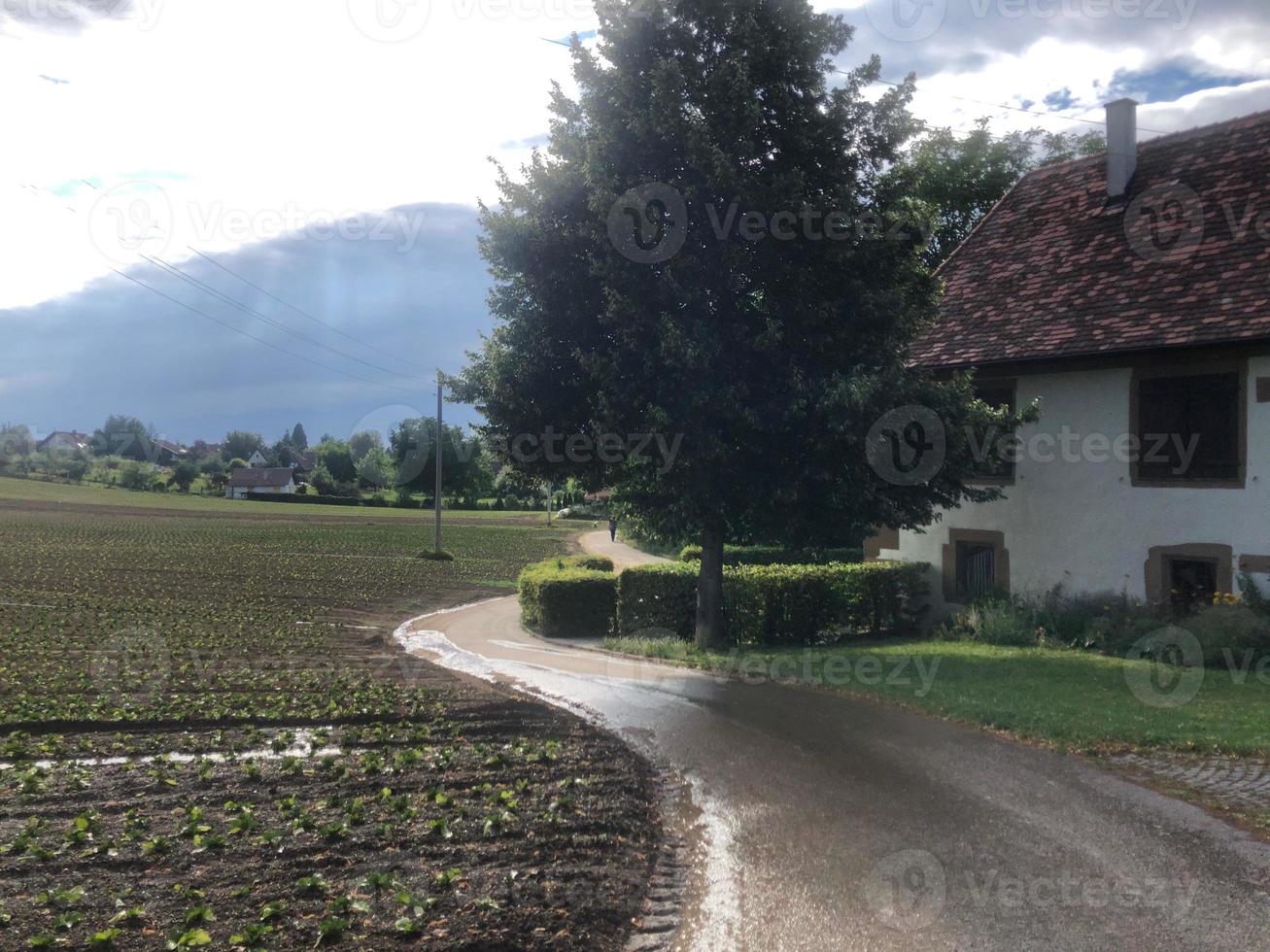 casa di campagna e campo coltivato foto