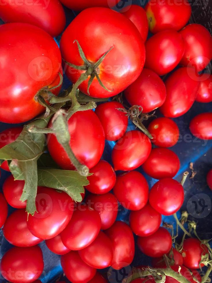 mucchio di pomodori freschi foto