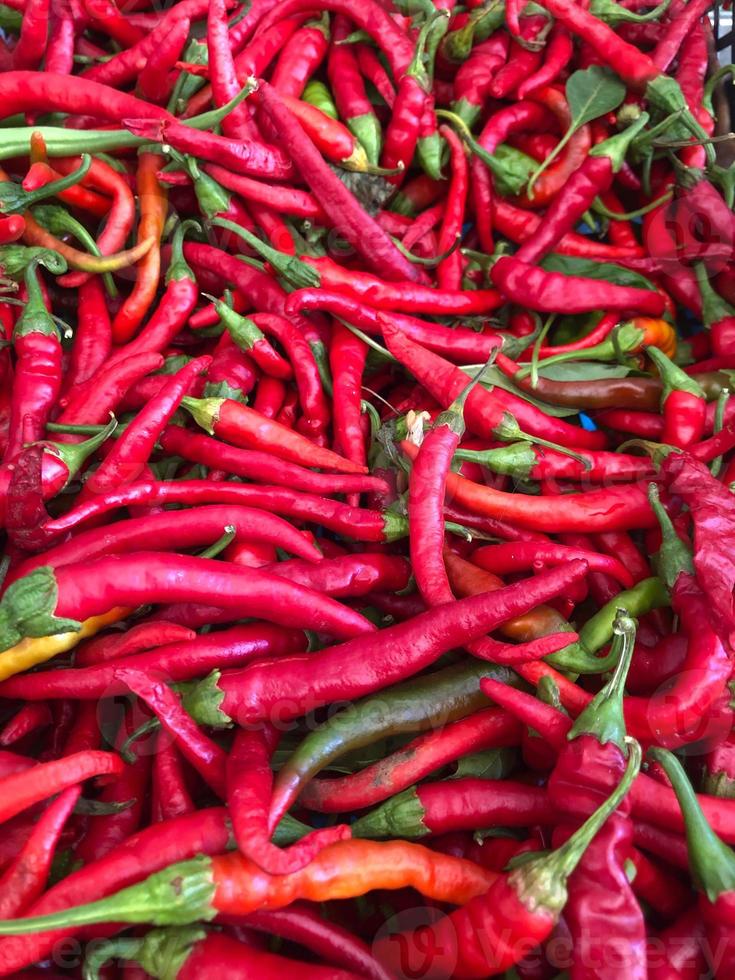 peperoncino rosso foto