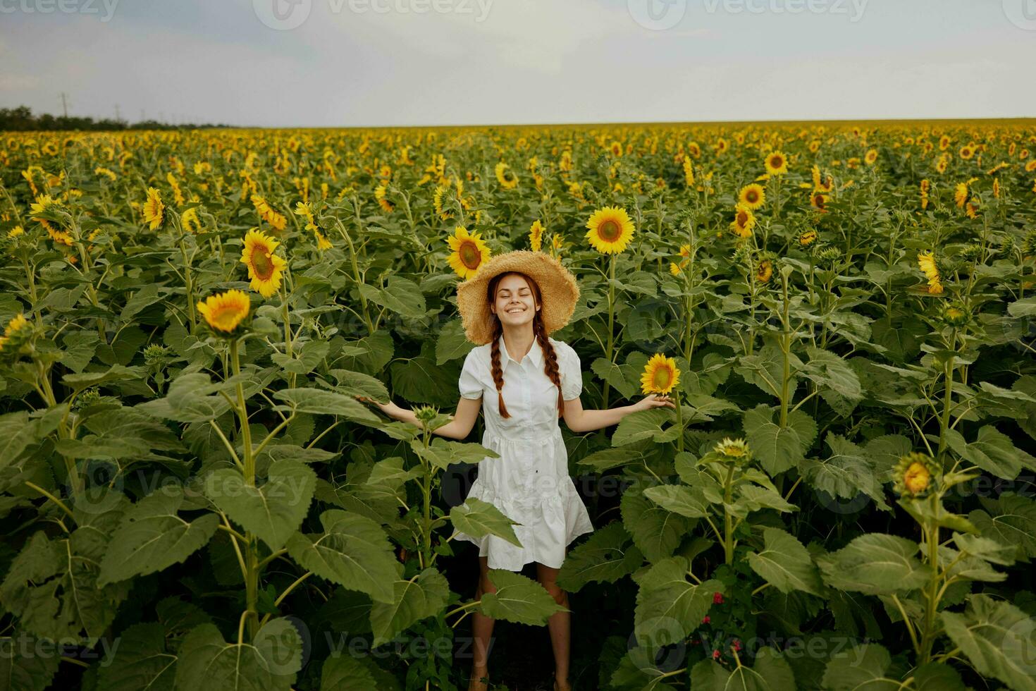 donna con trecce nel un' cannuccia cappello nel un' bianca vestito un' campo di girasoli agricoltura estate tempo foto