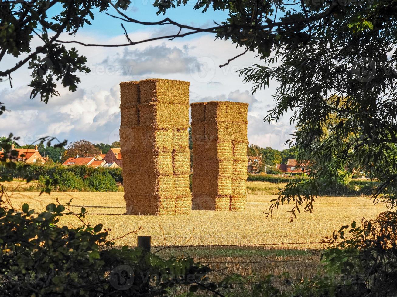 due alti mucchi di fieno in un campo a Skipwith North Yorkshire, Inghilterra foto