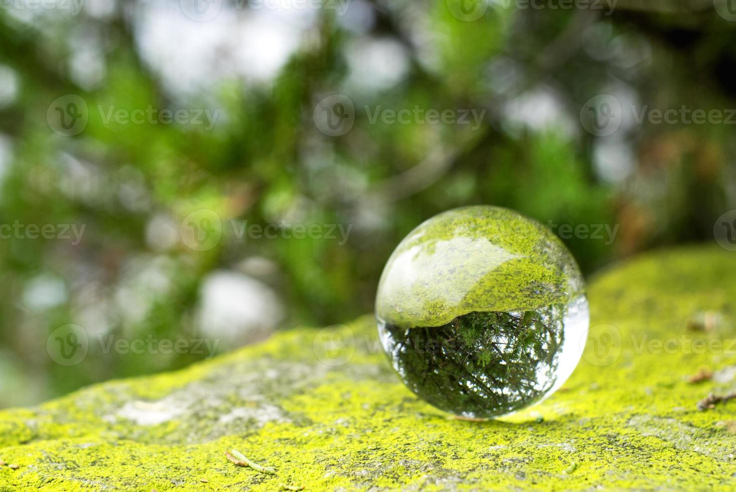 una palla lente su un muschio verde foto