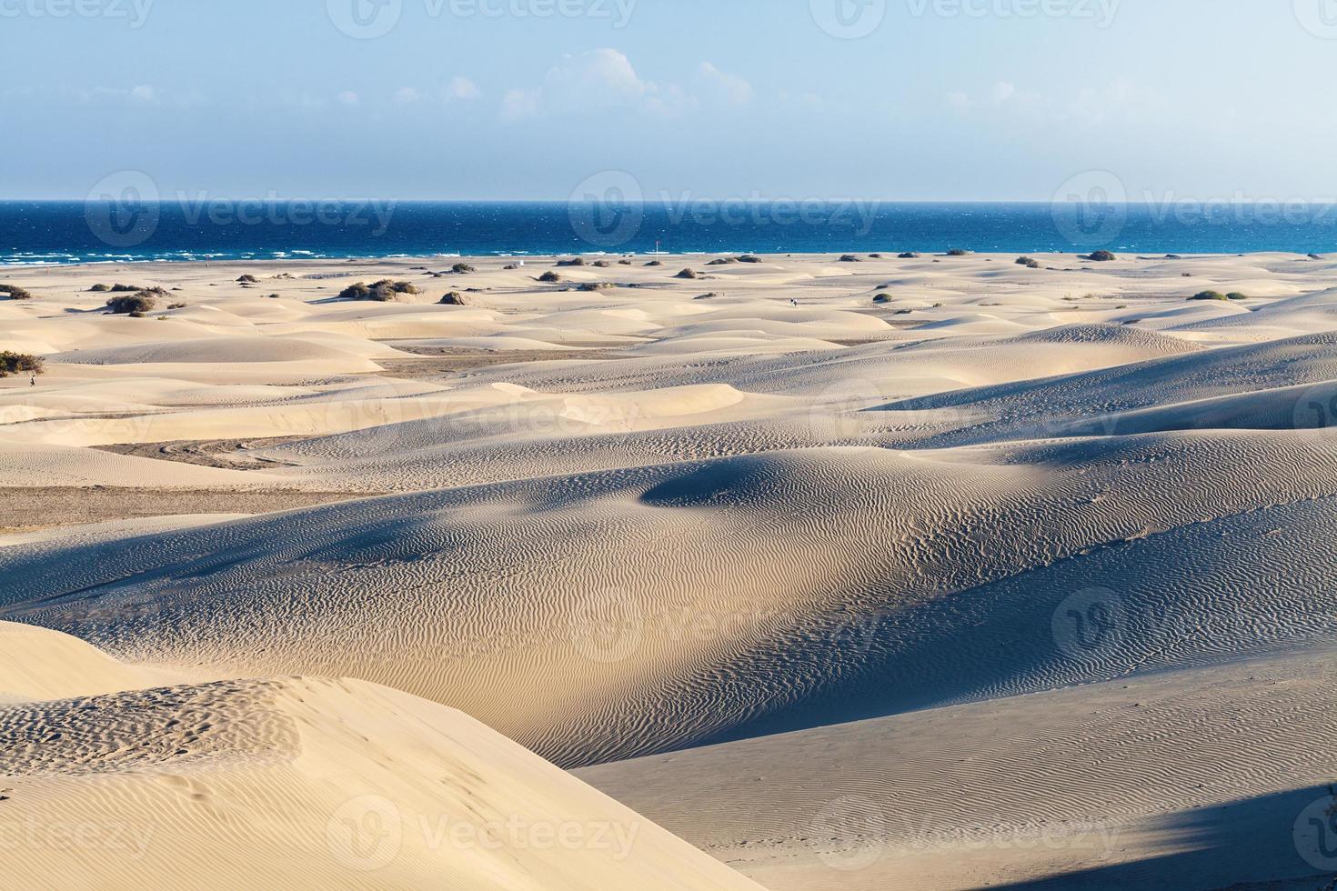 dune di maspalomas, gran canaria foto