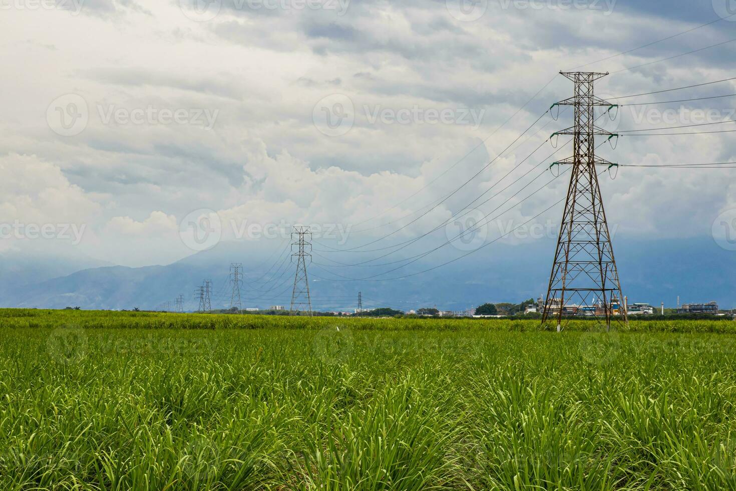 elettrico Rete e zucchero canna campo a Valle del cauca regione nel Colombia foto