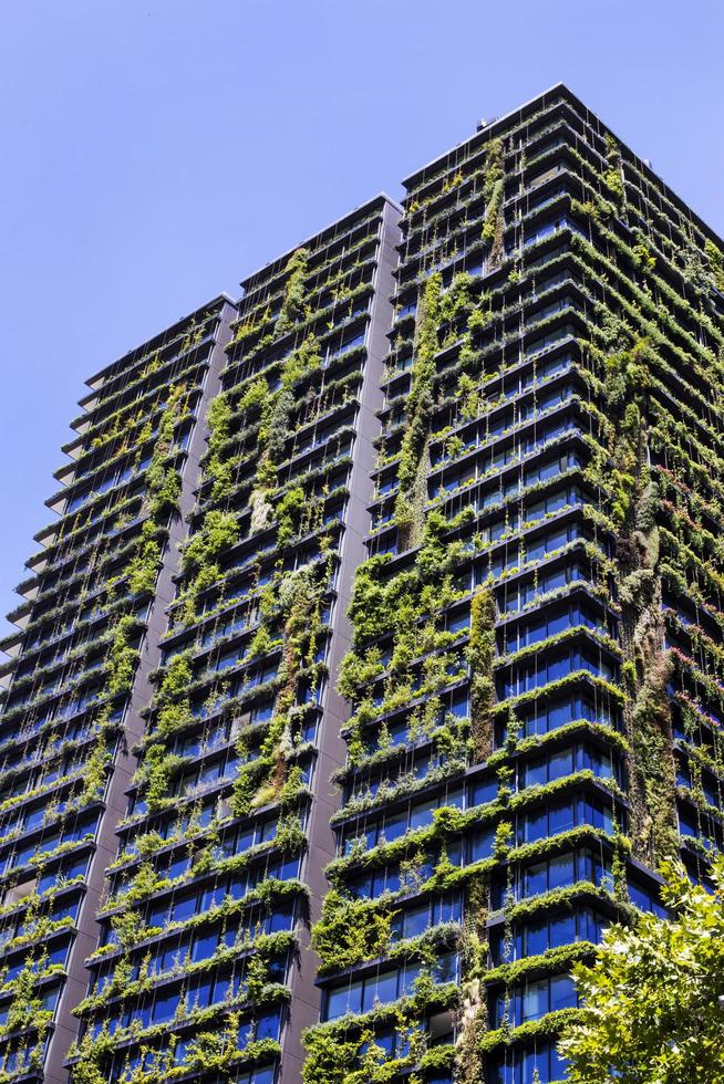 uno dei giardini verticali di central park a sydney, australia foto