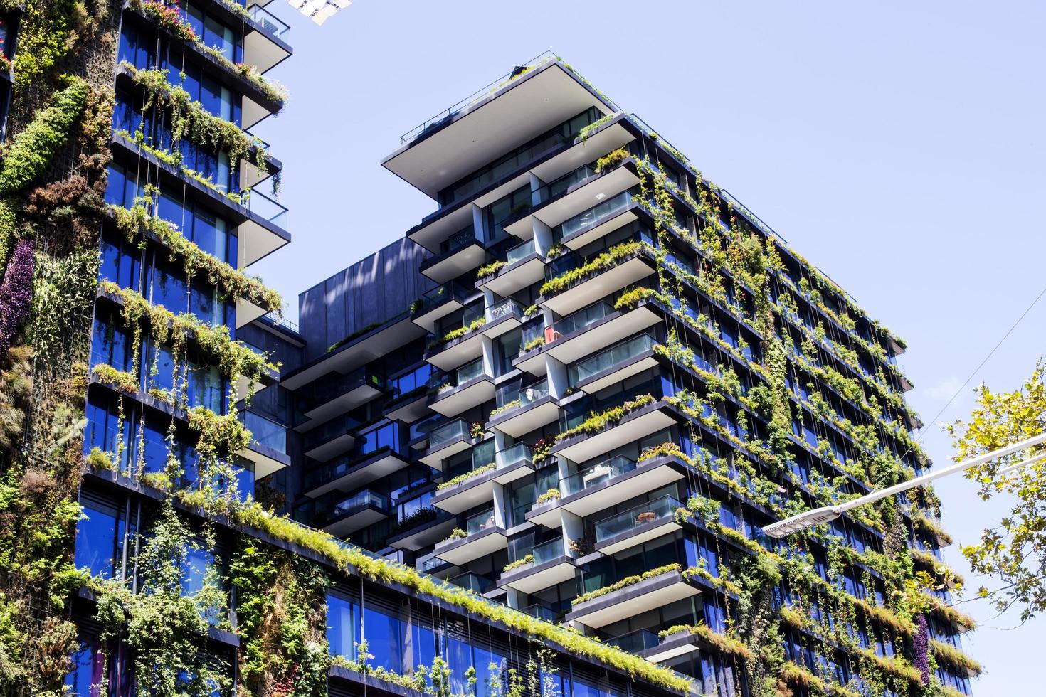 uno dei giardini verticali di central park a sydney, australia foto