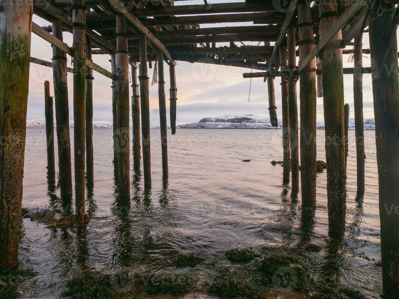 il scheletro di un' pesca capannone su il spiaggia. abbandonato Casa contro il artico cielo. vecchio autentico villaggio di teriberka. foto