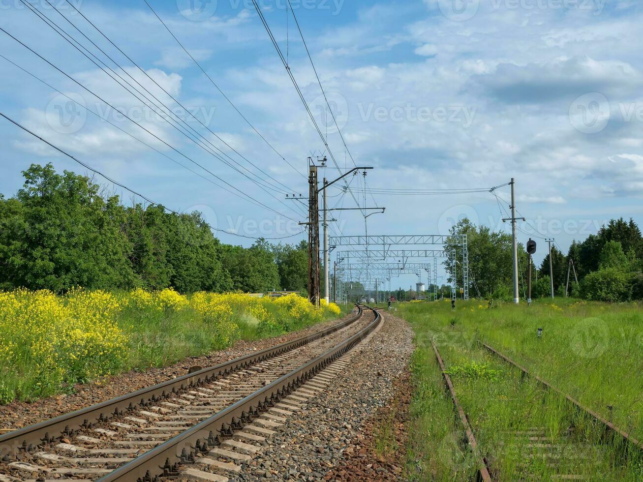 ferrovia brani tra giallo campi, nazione Ferrovia foto