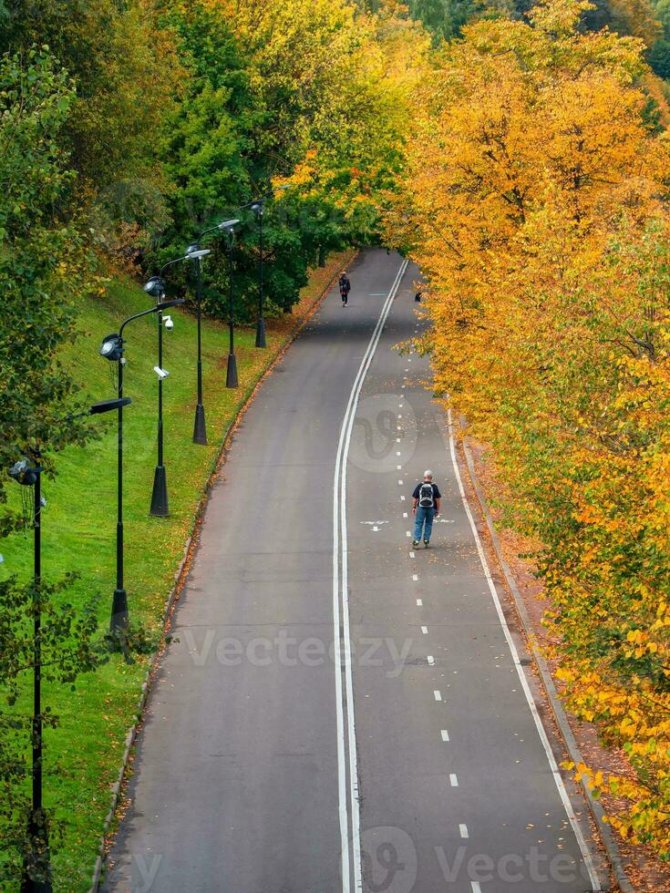 vorobyovy cruento argine con un' rullo nel autunno. pubblico parco passero colline nel Mosca. foto