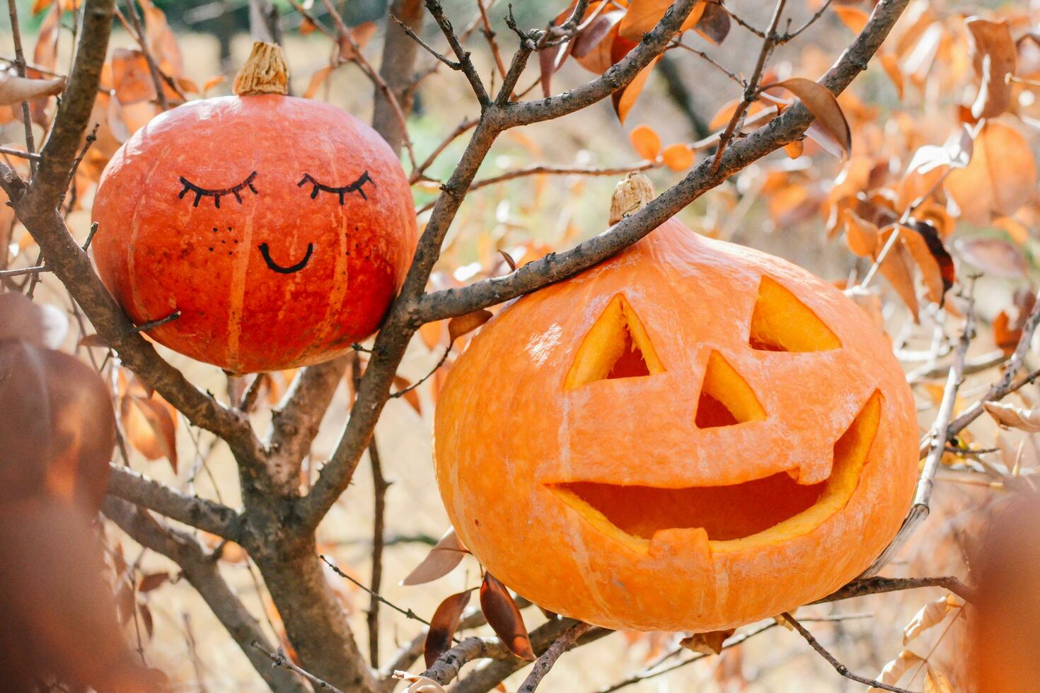 Halloween festa. Halloween zucca. Halloween è tenuto nel autunno, nel ottobre foto