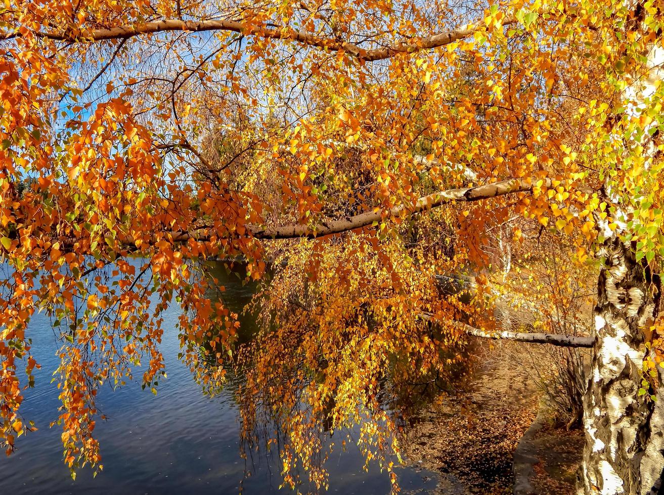 deschutes river colors at pioneer park bend, o foto