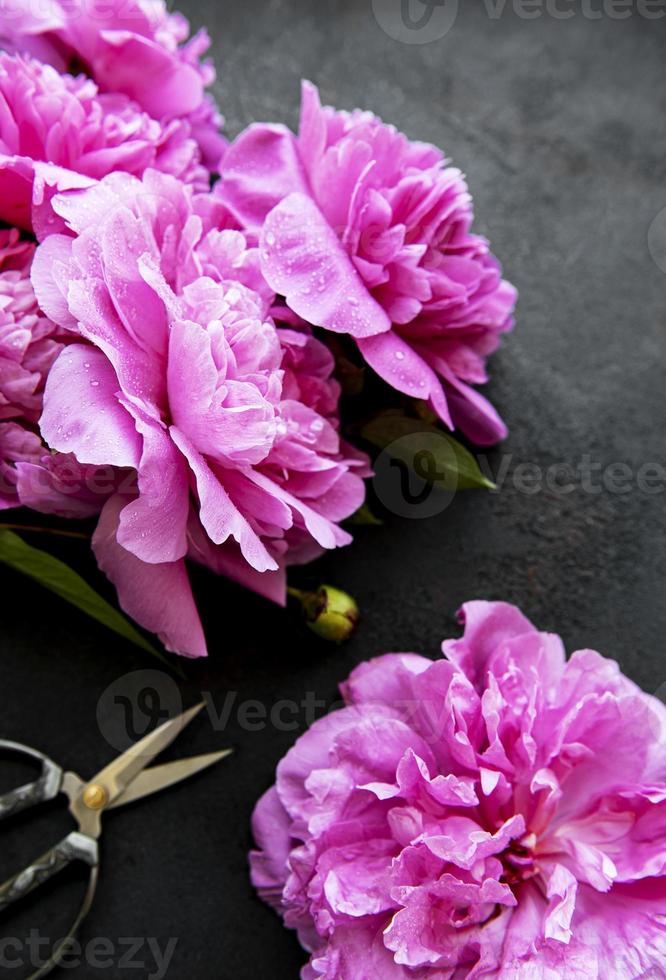 bordo di fiori di peonia su sfondo nero foto