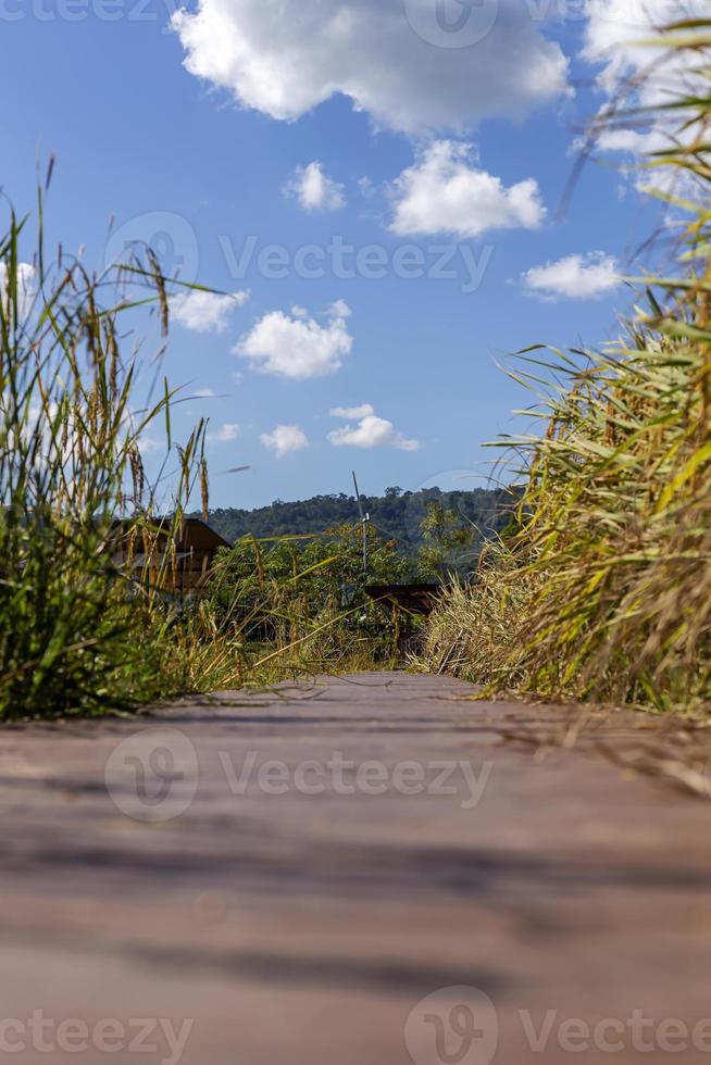 dipartimento del campo di cammino verso casa e sfondo di nuvole. foto