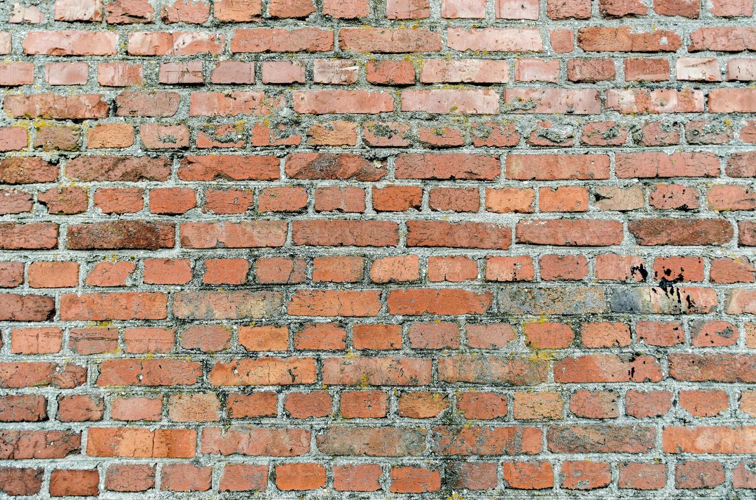 vecchio muro di mattoni da vicino foto