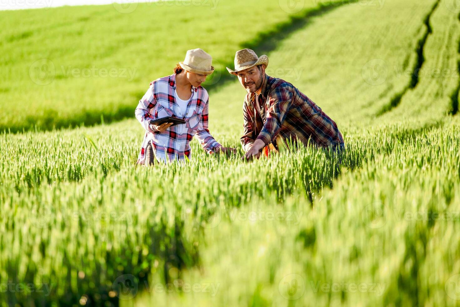 uomo e donna siamo Lavorando insieme nel associazione foto