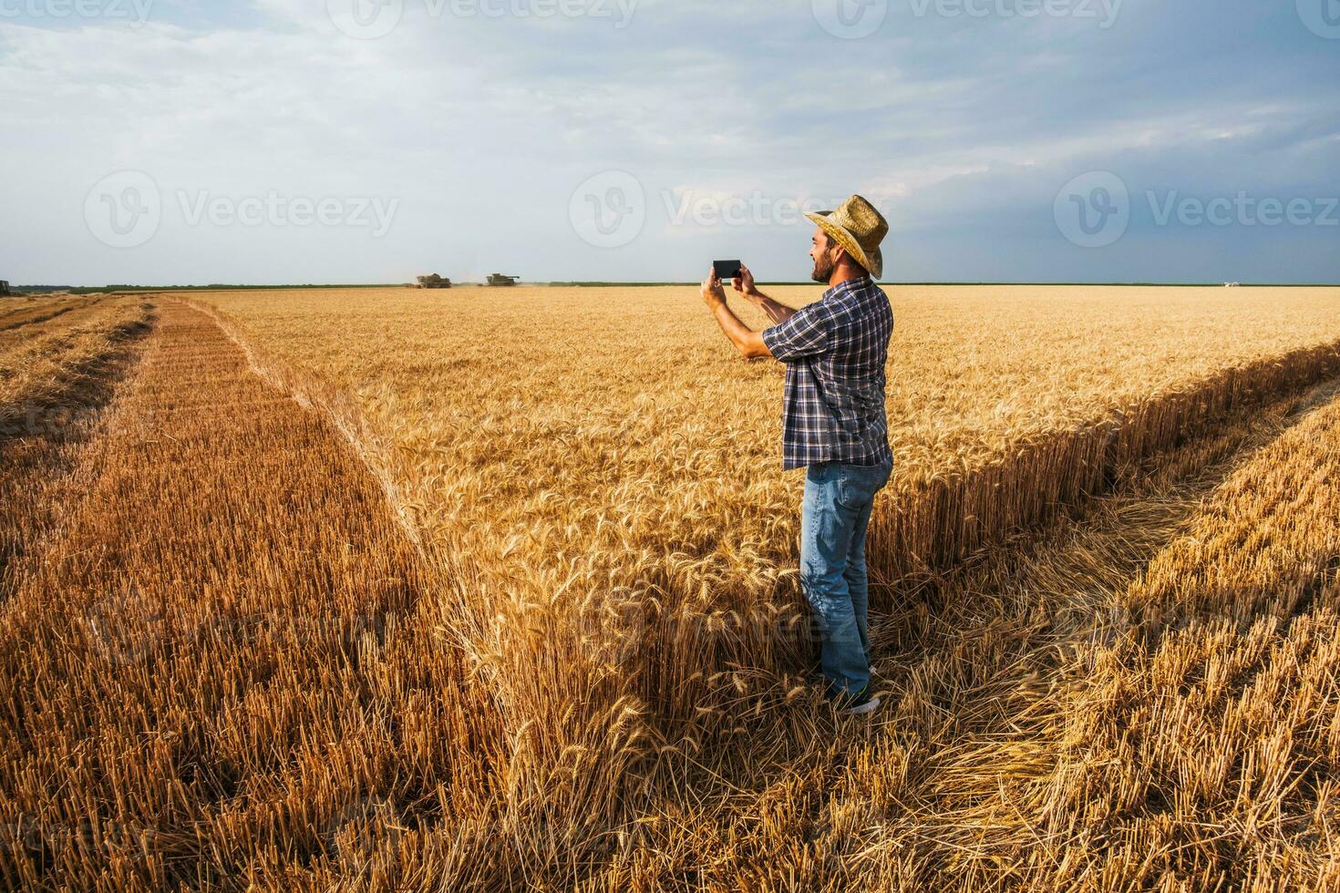 un' contadino l'esame un' Grano campo foto