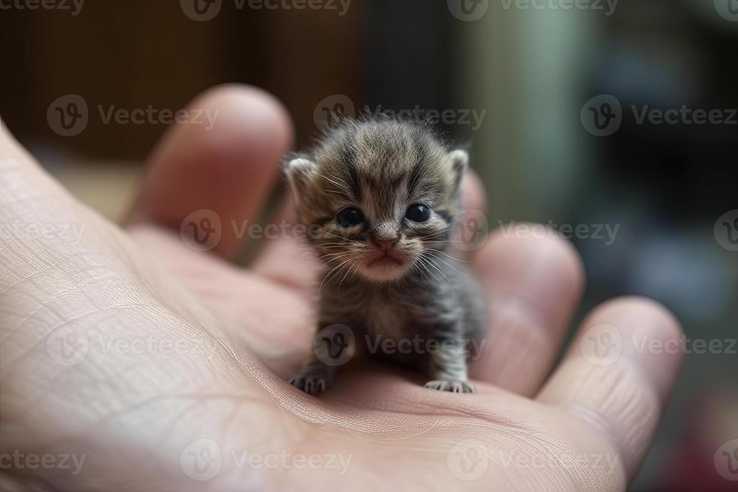 ultra piccolo gattino su umano mano illustrazione generativo ai foto