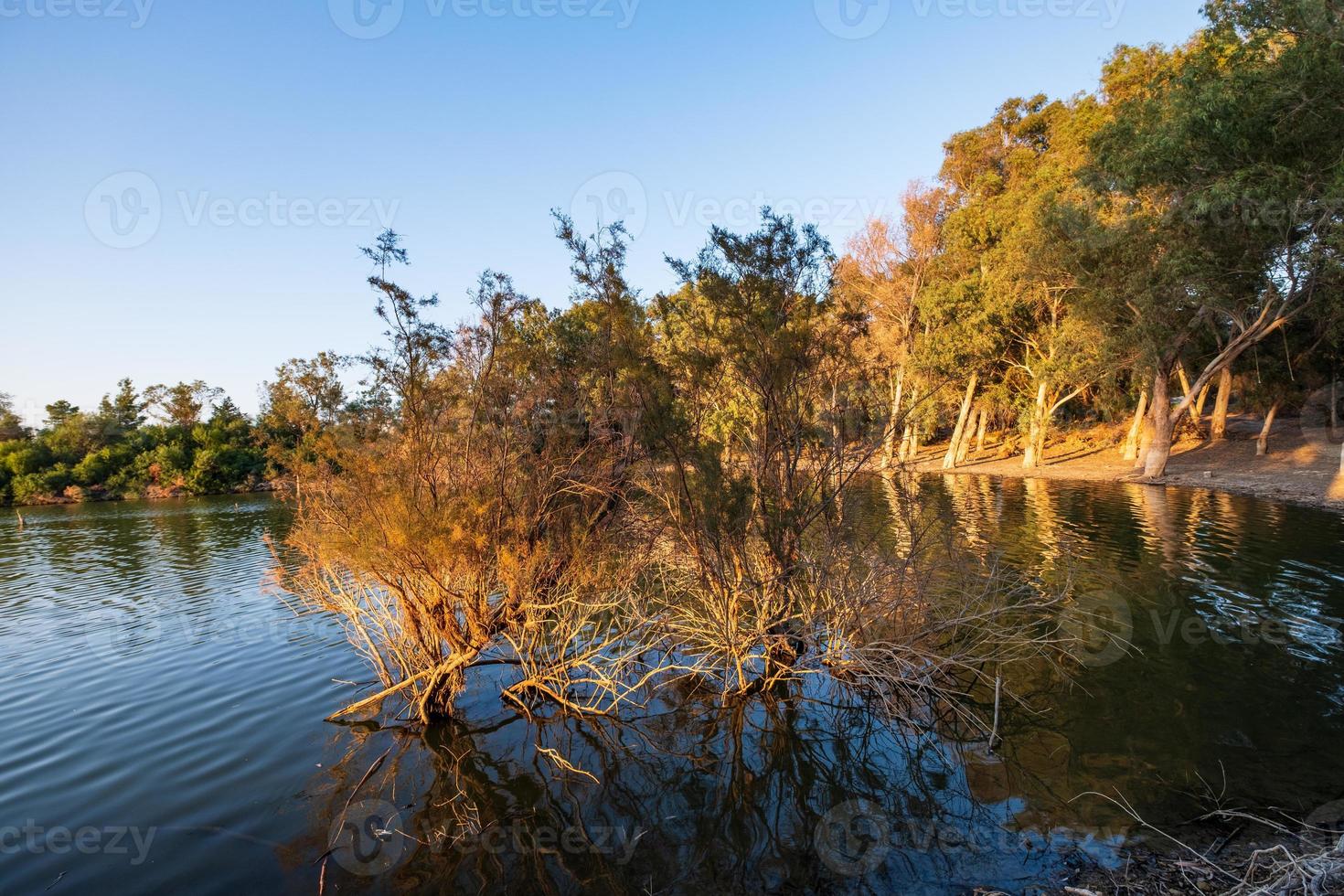 Athalassa Lake Cipro con acqua splendidamente illuminata e alberi in un bel pomeriggio soleggiato foto