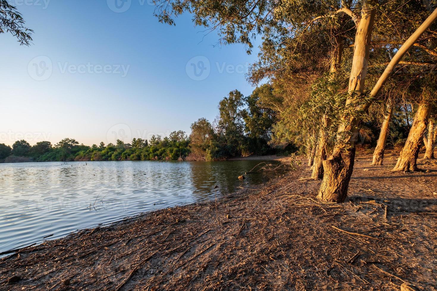 Athalassa Lake Cipro con acqua splendidamente illuminata e alberi in un bel pomeriggio soleggiato foto