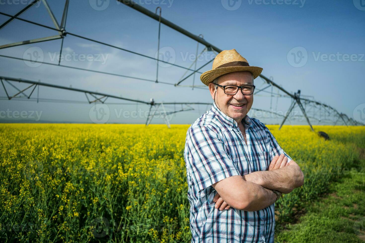 un' contadino l'esame un' colza campo foto