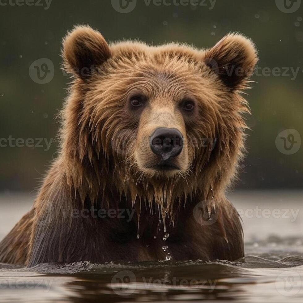 selvaggio orso nel naturale habitat ai generato foto