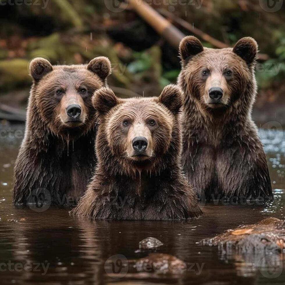 selvaggio orso nel naturale habitat ai generato foto