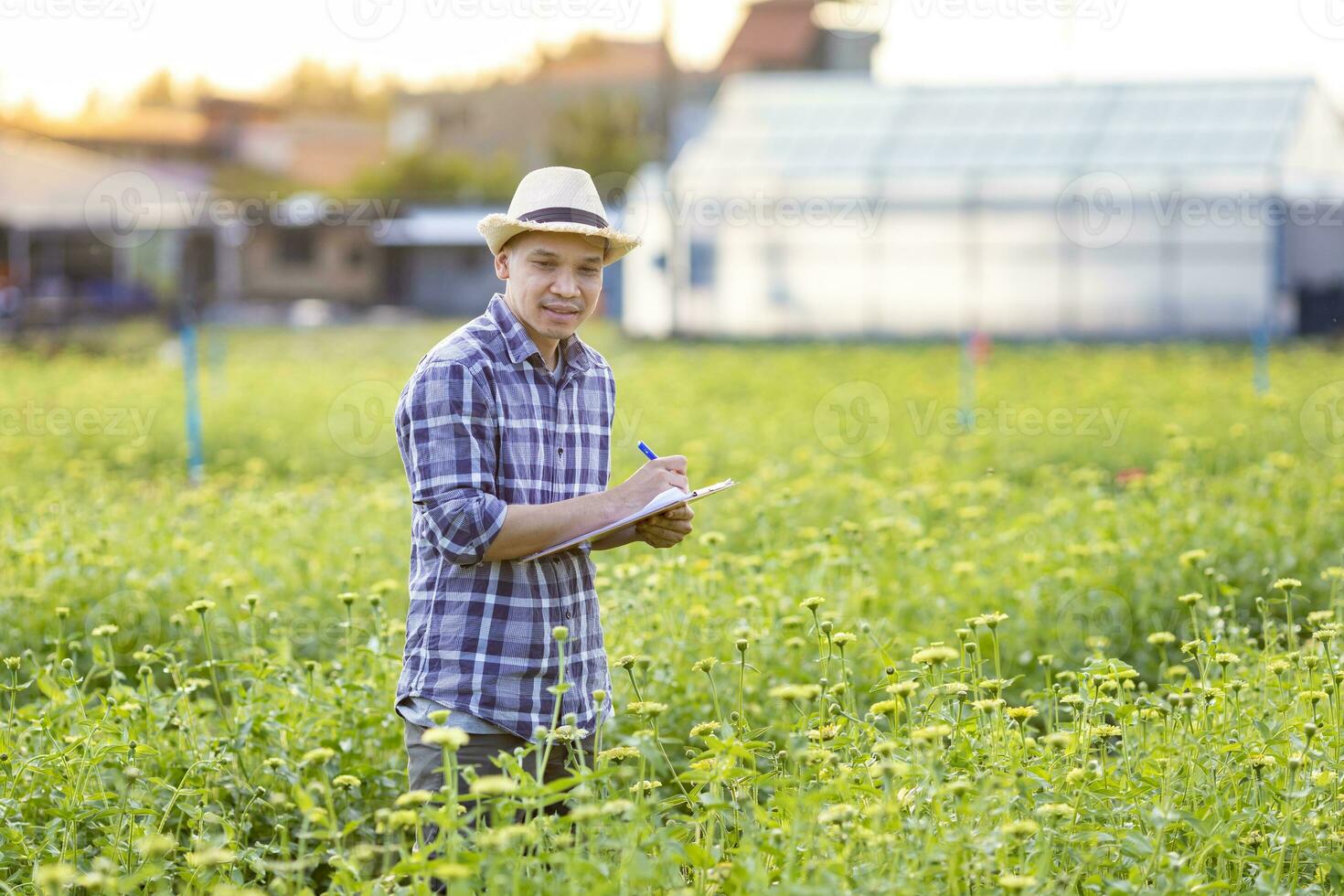 asiatico giardiniere è assunzione Nota utilizzando clip tavola su il crescita e Salute di giallo zinnia mentre Lavorando nel il suo rurale campo azienda agricola per medicinale erba e tagliare fiore uso foto