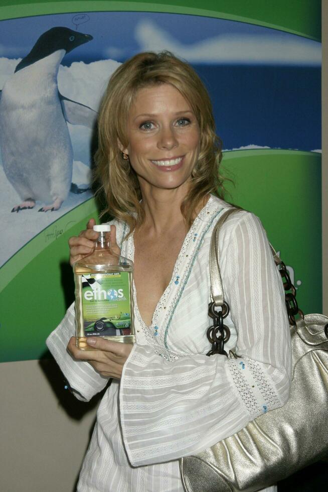 cheryl hines GB emmy regalare suite hollywood roosevelt Hotel los angeles circa settembre 13 2007 2007 kathy hutchin hutchin foto