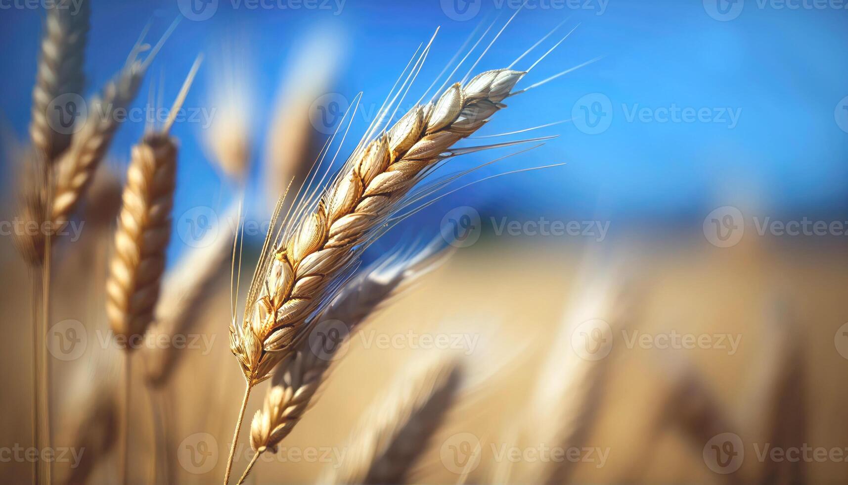 orecchie di Grano. generativo ai foto