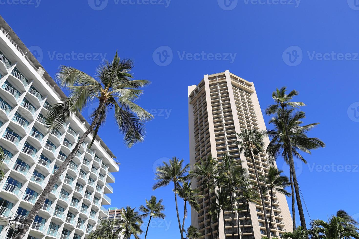 hotel di lusso e palme sulla spiaggia di waikiki alle hawaii foto