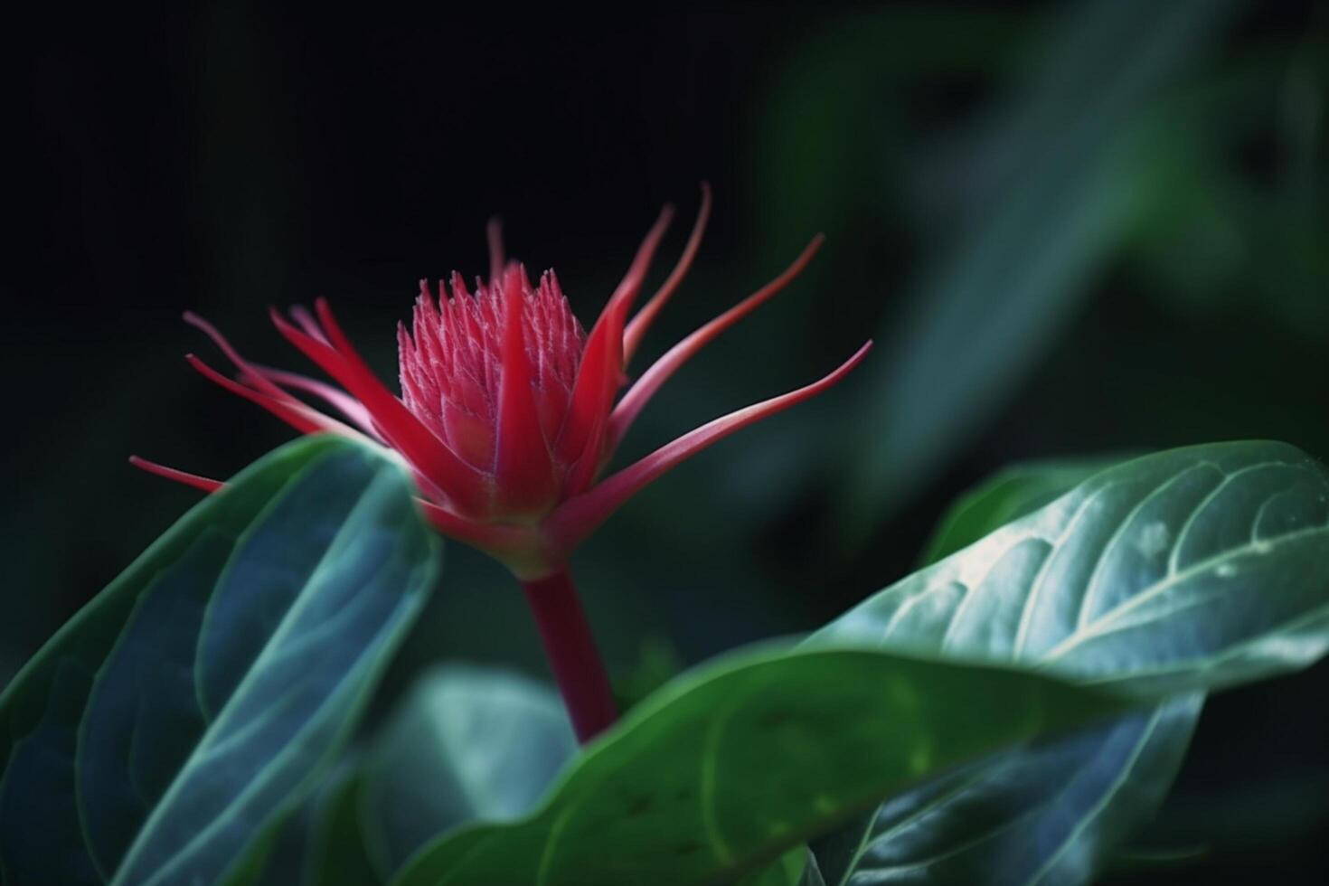 esotico pianta nel il foresta pluviale vivace arancia rosso fiorire ai generato foto