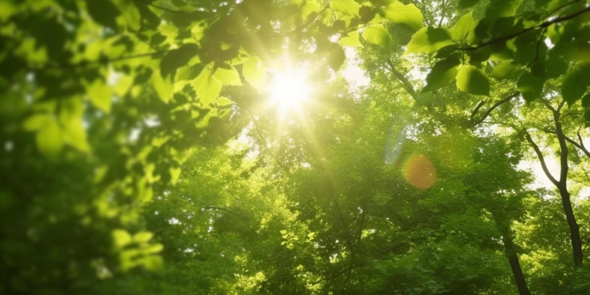 baciato dal sole baldacchino un' Visualizza di lussureggiante verde Treetops con sole raggi penetrante attraverso il le foglie ai generato foto