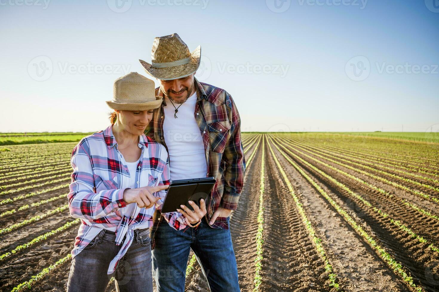 uomo e donna siamo Lavorando come agricoltori nel collaborazione. essi siamo coltivando soia. foto