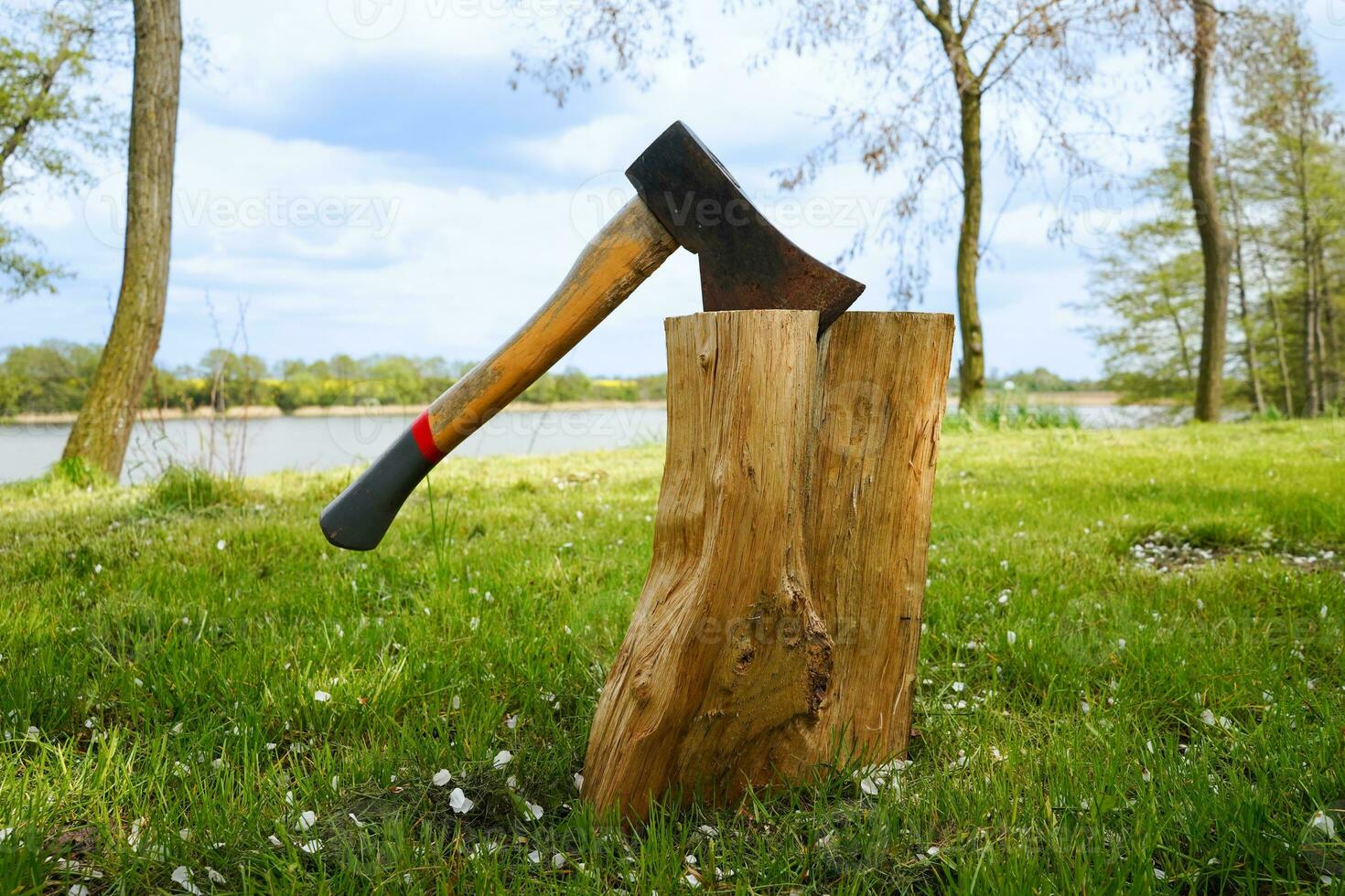 ascia nel il ceppo. ascia impalato nel il tronco d'albero. lago nel il sfondo. foto