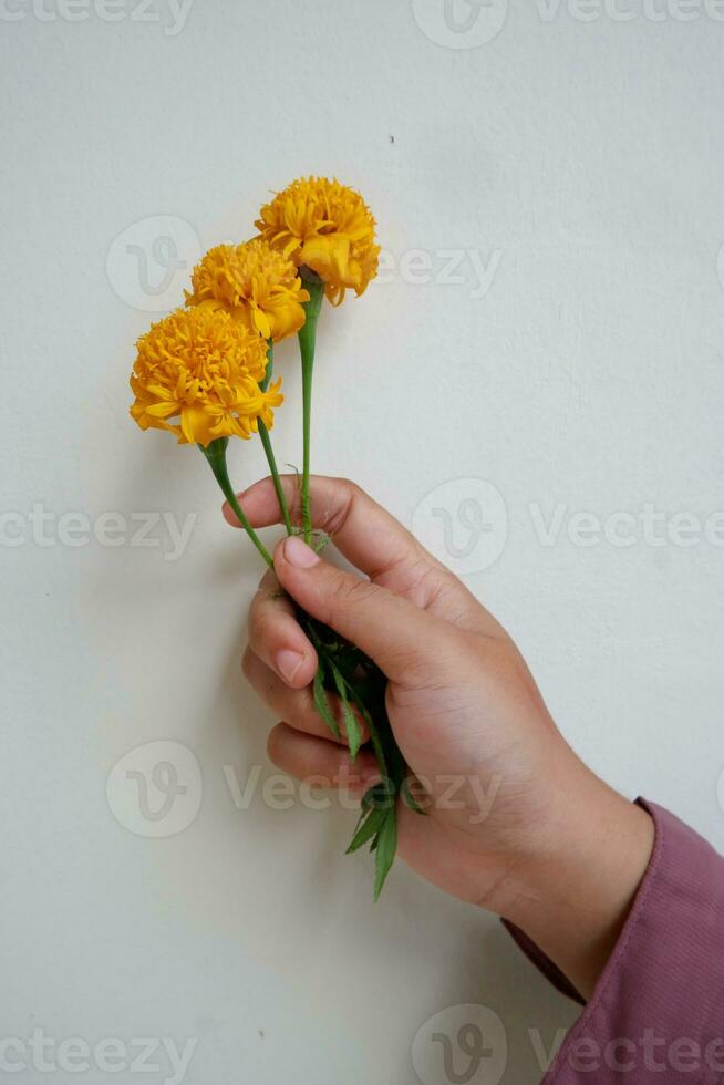 mano e fiore ritratto foto