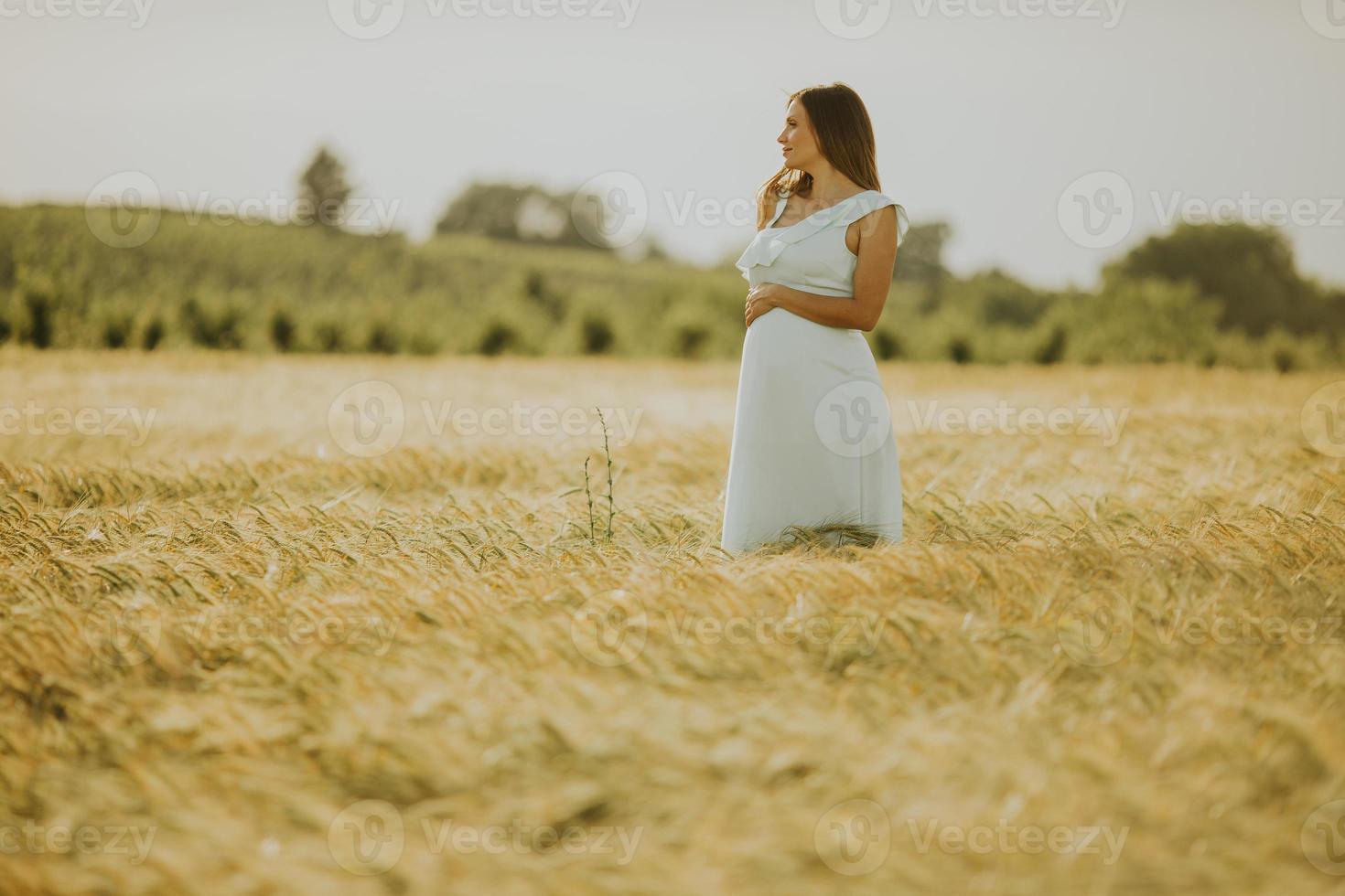 donna incinta in campo foto