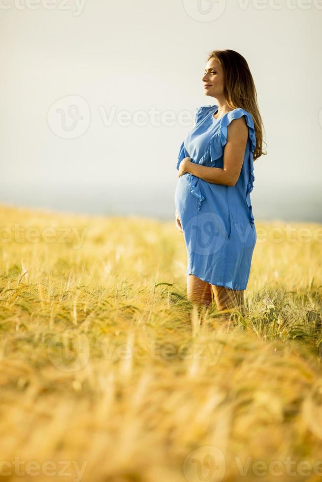 giovane donna incinta in abito blu rilassante fuori nella natura foto