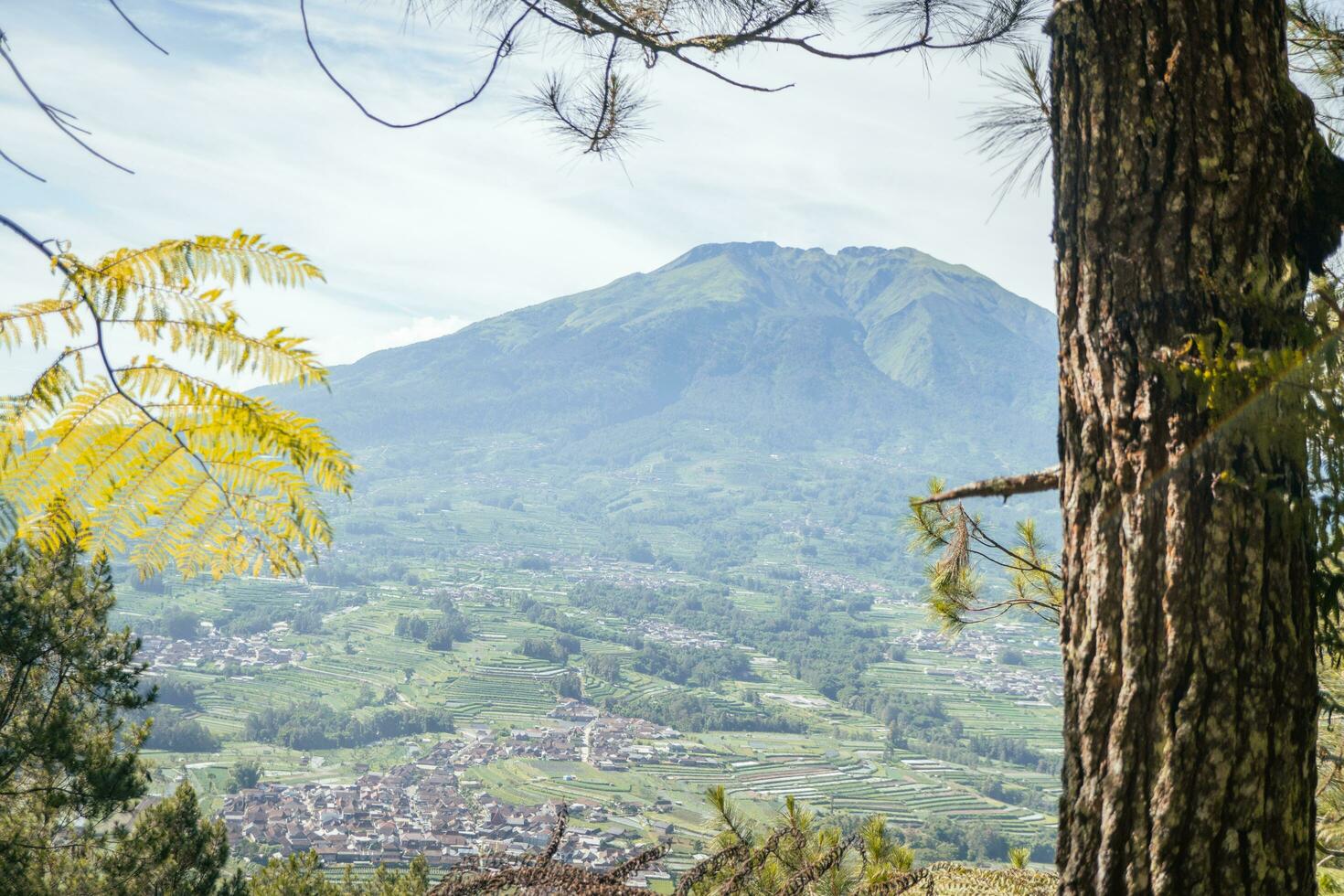 paesaggio montagna quando mattina tempo luce del sole estate vibrazioni. il foto è adatto per uso per avventura soddisfare media, natura manifesto e foresta sfondo.