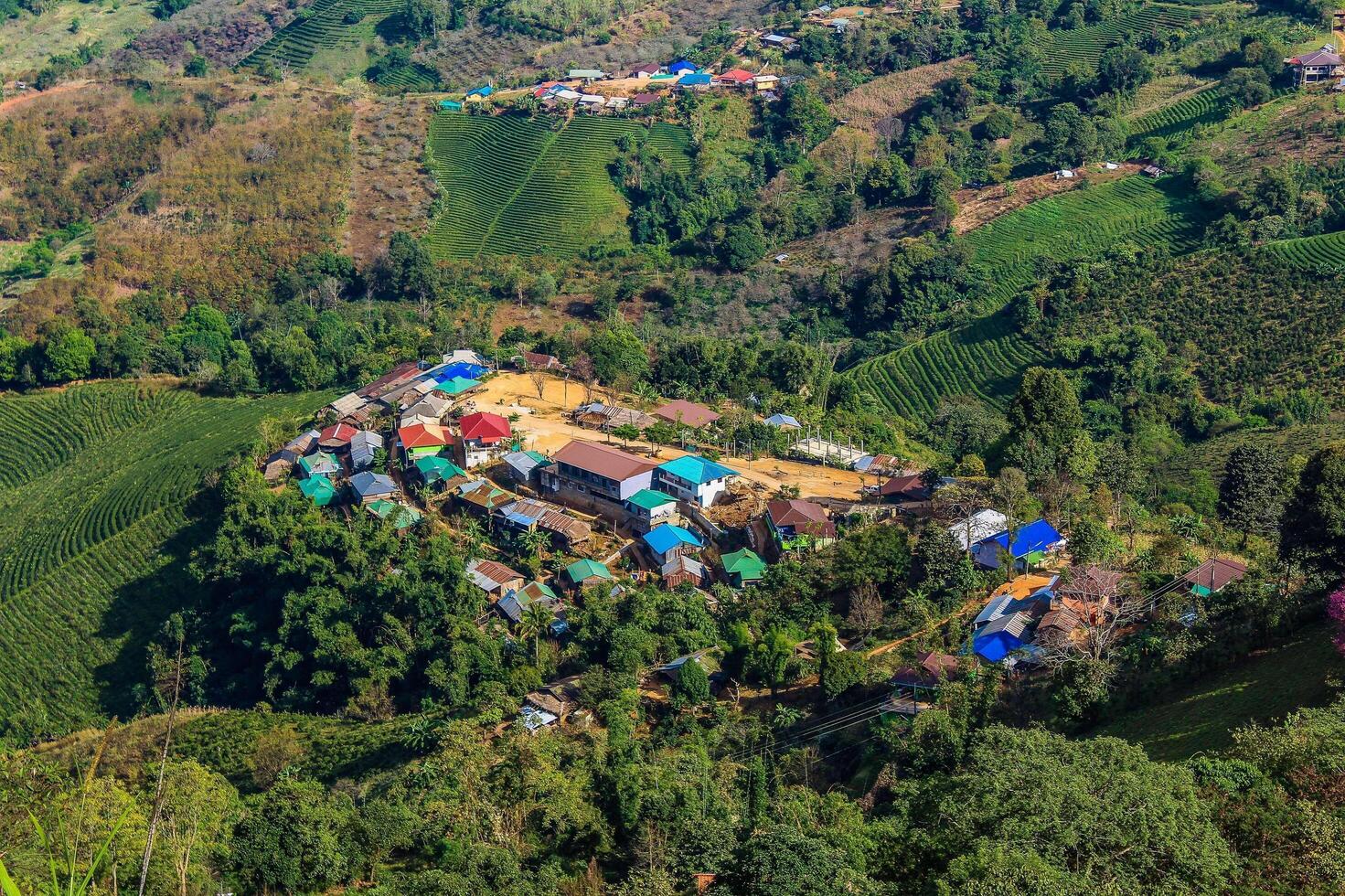 doi mae salong a chiang rai, thailandia foto